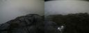./images/calvert/buxton2/20210723/buxton220210723_064003M.jpg