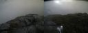 ./images/calvert/buxton2/20210723/buxton220210723_075002M.jpg