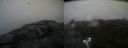 ./images/calvert/buxton2/20210723/buxton220210723_094502M.jpg