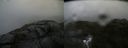./images/calvert/buxton2/20210723/buxton220210723_101502M.jpg