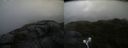 ./images/calvert/buxton2/20210723/buxton220210723_104502M.jpg