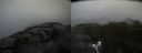./images/calvert/buxton2/20210723/buxton220210723_110503M.jpg