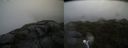 ./images/calvert/buxton2/20210723/buxton220210723_114003M.jpg