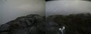 ./images/calvert/buxton2/20210723/buxton220210723_115503M.jpg