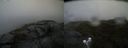./images/calvert/buxton2/20210723/buxton220210723_125502M.jpg