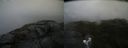 ./images/calvert/buxton2/20210723/buxton220210723_131002M.jpg
