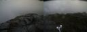 ./images/calvert/buxton2/20210723/buxton220210723_133502M.jpg