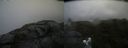 ./images/calvert/buxton2/20210723/buxton220210723_134002M.jpg