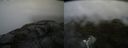 ./images/calvert/buxton2/20210723/buxton220210723_142503M.jpg