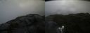 ./images/calvert/buxton2/20210723/buxton220210723_161002M.jpg