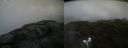 ./images/calvert/buxton2/20210723/buxton220210723_162002M.jpg