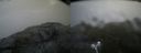 ./images/calvert/buxton2/20210724/buxton220210724_063503M.jpg