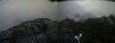 ./images/calvert/buxton2/20210724/buxton220210724_071003M.jpg