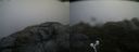 ./images/calvert/buxton2/20210724/buxton220210724_071503M.jpg