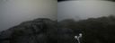 ./images/calvert/buxton2/20210724/buxton220210724_075502M.jpg