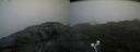 ./images/calvert/buxton2/20210724/buxton220210724_081002M.jpg
