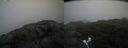 ./images/calvert/buxton2/20210724/buxton220210724_081502M.jpg