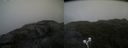 ./images/calvert/buxton2/20210724/buxton220210724_100503M.jpg