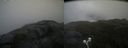 ./images/calvert/buxton2/20210724/buxton220210724_111502M.jpg