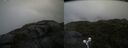 ./images/calvert/buxton2/20210724/buxton220210724_114002M.jpg