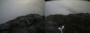./images/calvert/buxton2/20210724/buxton220210724_115503M.jpg