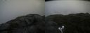 ./images/calvert/buxton2/20210724/buxton220210724_120003M.jpg