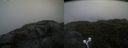 ./images/calvert/buxton2/20210724/buxton220210724_121003M.jpg
