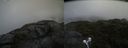 ./images/calvert/buxton2/20210724/buxton220210724_124502M.jpg