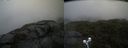 ./images/calvert/buxton2/20210724/buxton220210724_125502M.jpg