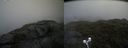 ./images/calvert/buxton2/20210724/buxton220210724_130502M.jpg