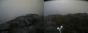 ./images/calvert/buxton2/20210724/buxton220210724_131002M.jpg