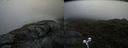 ./images/calvert/buxton2/20210724/buxton220210724_132002M.jpg