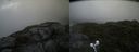 ./images/calvert/buxton2/20210724/buxton220210724_133502M.jpg