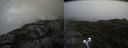 ./images/calvert/buxton2/20210724/buxton220210724_134002M.jpg