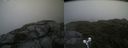 ./images/calvert/buxton2/20210724/buxton220210724_143503M.jpg