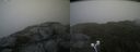 ./images/calvert/buxton2/20210724/buxton220210724_161002M.jpg