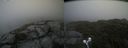 ./images/calvert/buxton2/20210724/buxton220210724_162502M.jpg