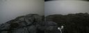 ./images/calvert/buxton2/20210724/buxton220210724_163502M.jpg