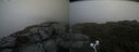./images/calvert/buxton2/20210724/buxton220210724_164002M.jpg