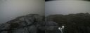 ./images/calvert/buxton2/20210724/buxton220210724_164502M.jpg