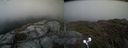 ./images/calvert/buxton2/20210724/buxton220210724_173503M.jpg