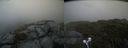 ./images/calvert/buxton2/20210724/buxton220210724_181002M.jpg