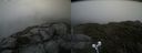 ./images/calvert/buxton2/20210724/buxton220210724_191002M.jpg