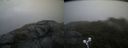 ./images/calvert/buxton2/20210725/buxton220210725_062002M.jpg