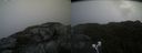./images/calvert/buxton2/20210725/buxton220210725_101503M.jpg