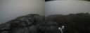 ./images/calvert/buxton2/20210725/buxton220210725_104002M.jpg