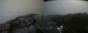 ./images/calvert/buxton2/20210725/buxton220210725_104502M.jpg