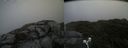 ./images/calvert/buxton2/20210725/buxton220210725_114502M.jpg