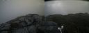 ./images/calvert/buxton2/20210725/buxton220210725_115502M.jpg