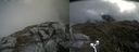 ./images/calvert/buxton2/20210725/buxton220210725_120003M.jpg